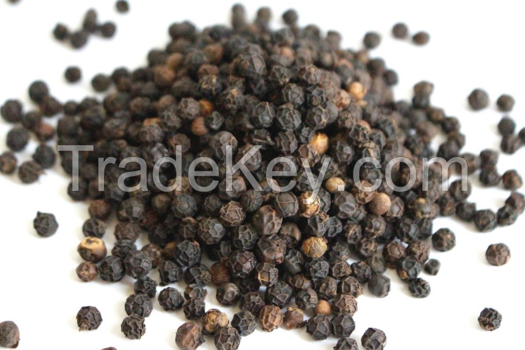 premium quality black pepper from Tmex in Vietnam best selling products spice