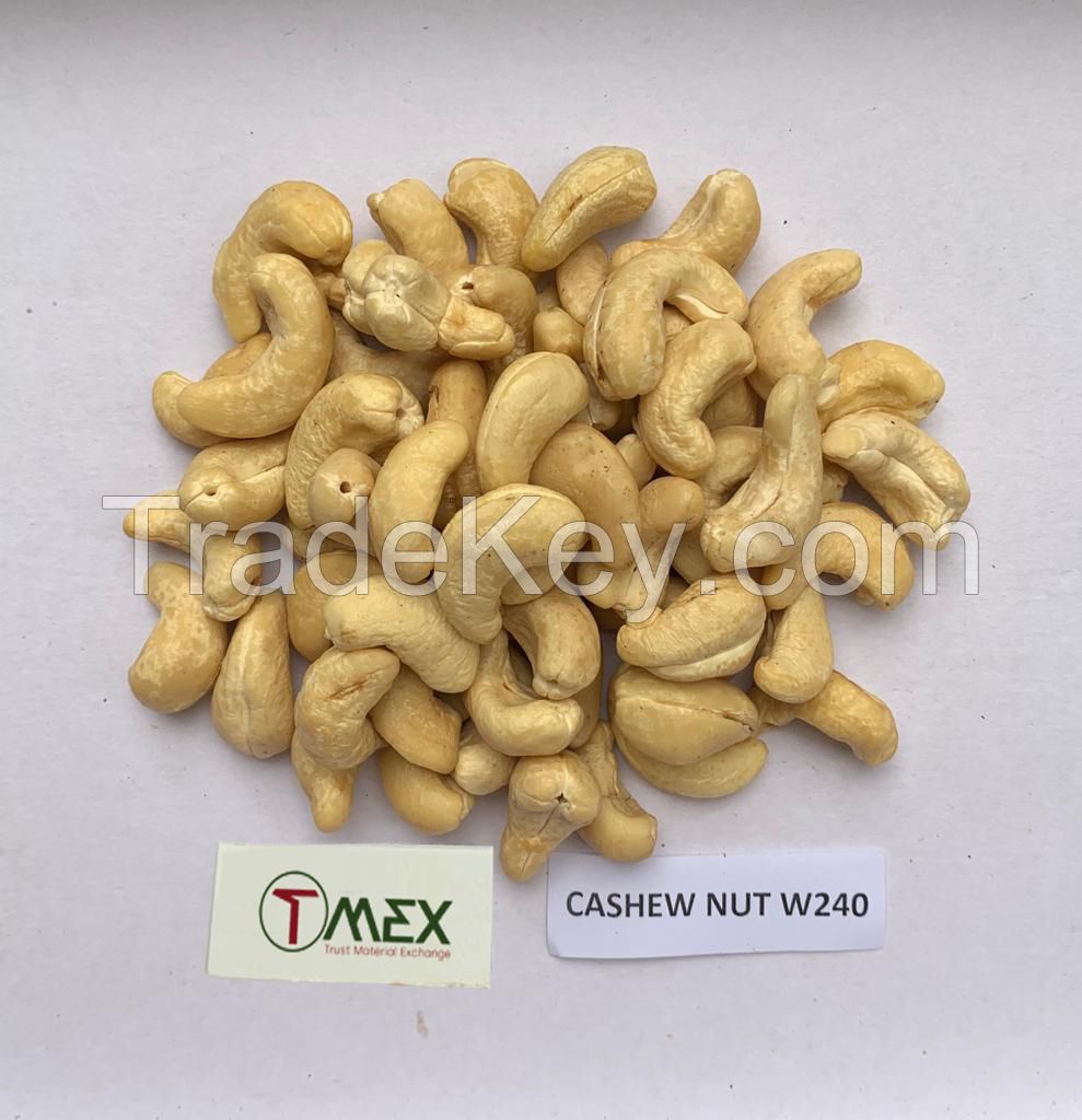 Newest Crop Nuts and Kernels Vietnam Cashew Nuts Raw Products High Quality Nuts for Food
