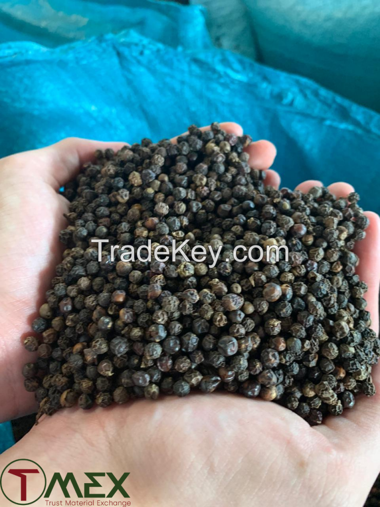 vietnam black pepper 550 gl hot spicy high quality product 