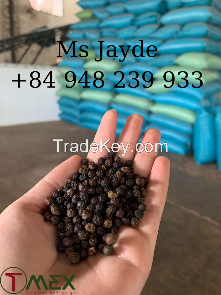 vietnam black pepper 550 gl hot spicy high quality product