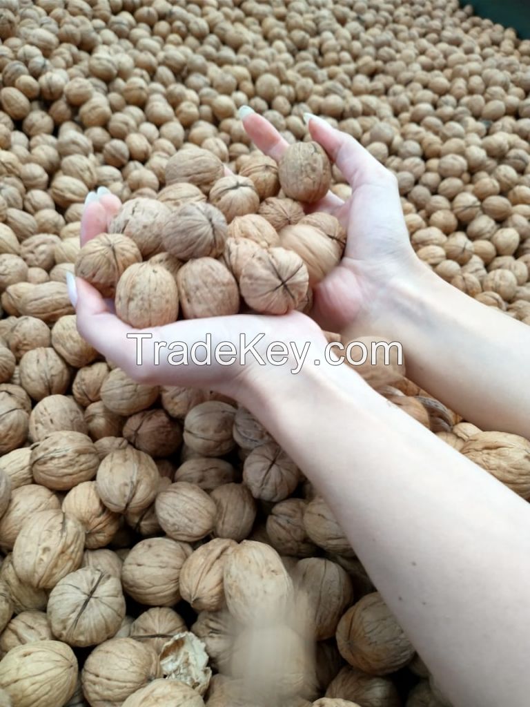 walnuts