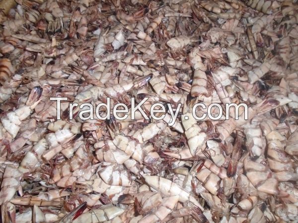 Dried Shrimp Shell