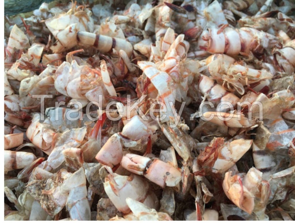 Dried Shrimp Shell