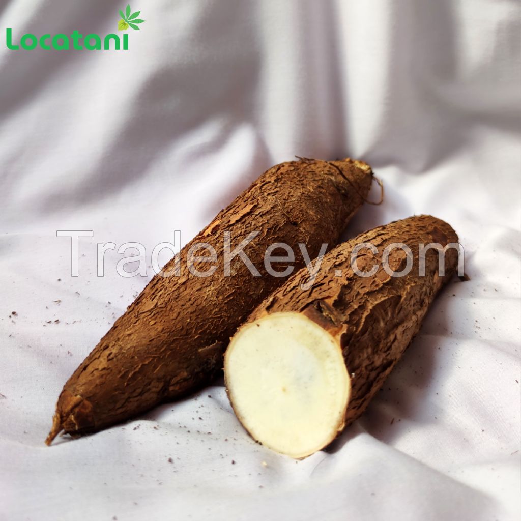 Fresh Cassava