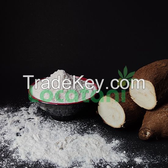 Mocaf (Modified Cassava Flour)