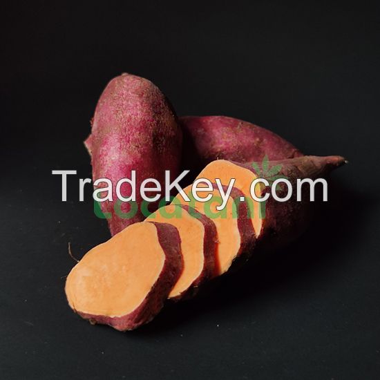 Orange Sweet Potato