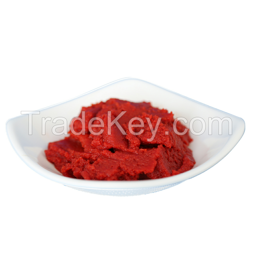 Tomato Paste Canned 70g 210g 400g 2200g Factory First-Hand Best Price From Popular Tomato Paste Supplier in China