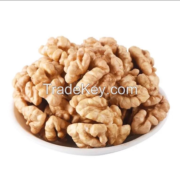 Organic Pecan Nuts Raw and Dried Processing for Food and Snacks