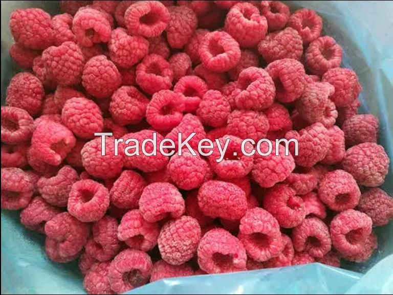 New season crop IQF frozen raspberry whole price