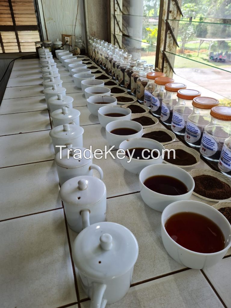 Brewed Tea Retail