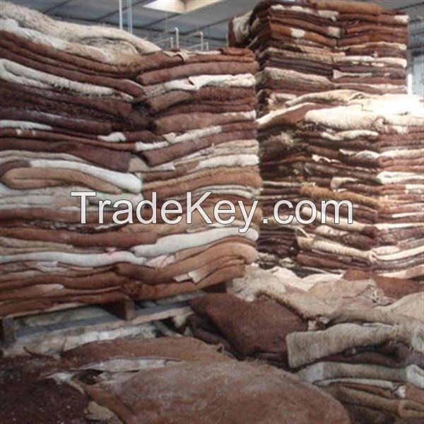 Wet Salted Cow Hides for sale