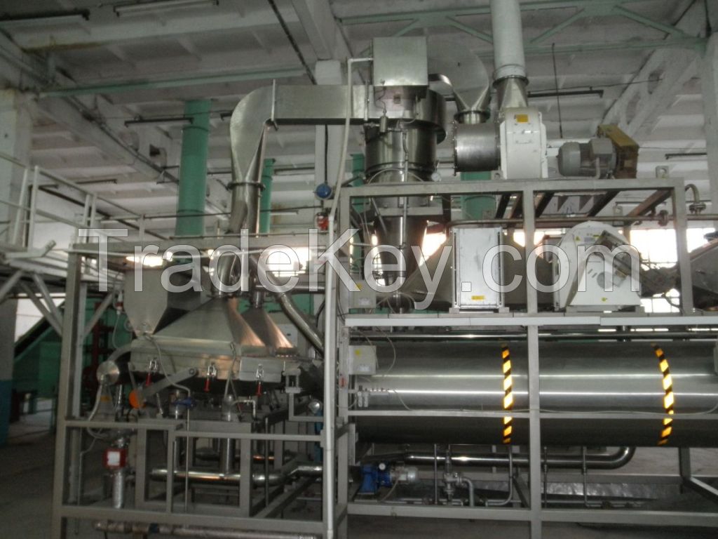 Potato to Chips processing line