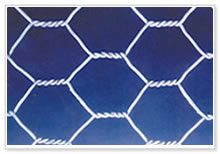 hexagonal wire mesh