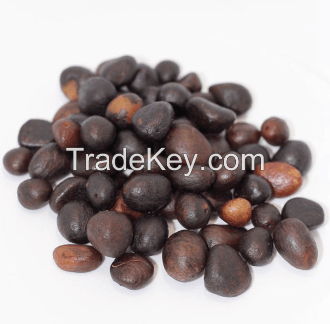 Palm kernel 