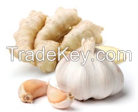 Garlic/ Ginger 