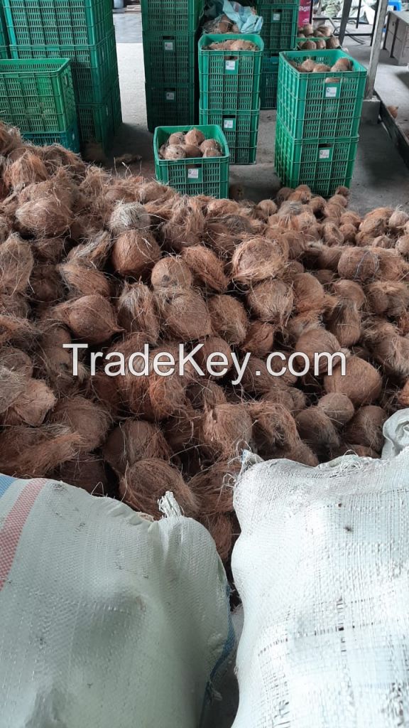 Copra, Dried Coconut