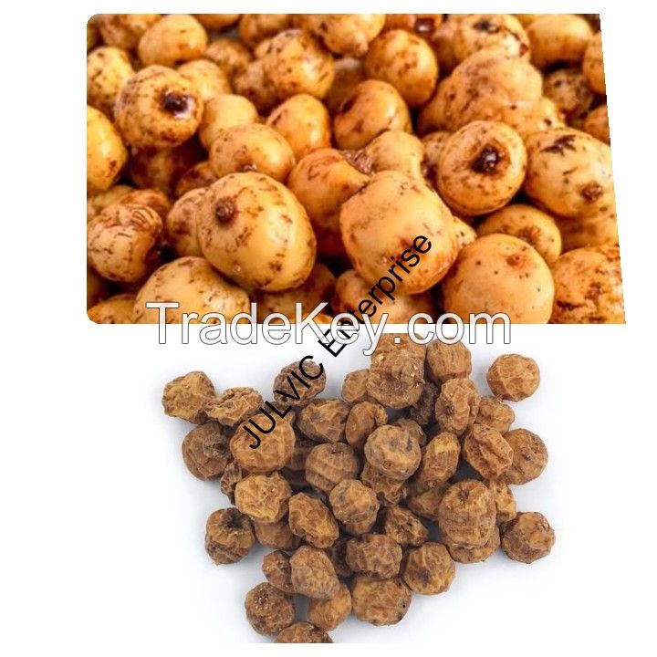 Tiger Nut