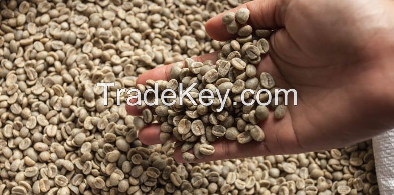 Arabica coffee bean Screen 18 wet polished