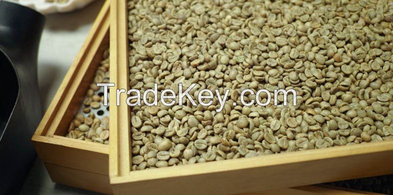 Arabica coffee bean Screen 16 wet polished