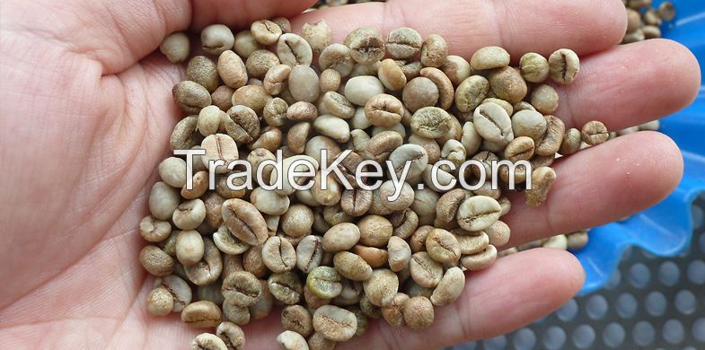 Robusta coffee beans screen 13 standard