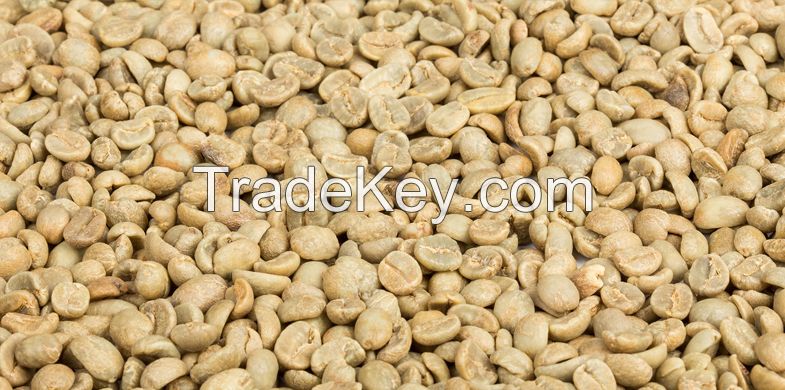 Robusta coffee beans screen 18 standard