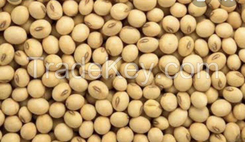 Chickpeas