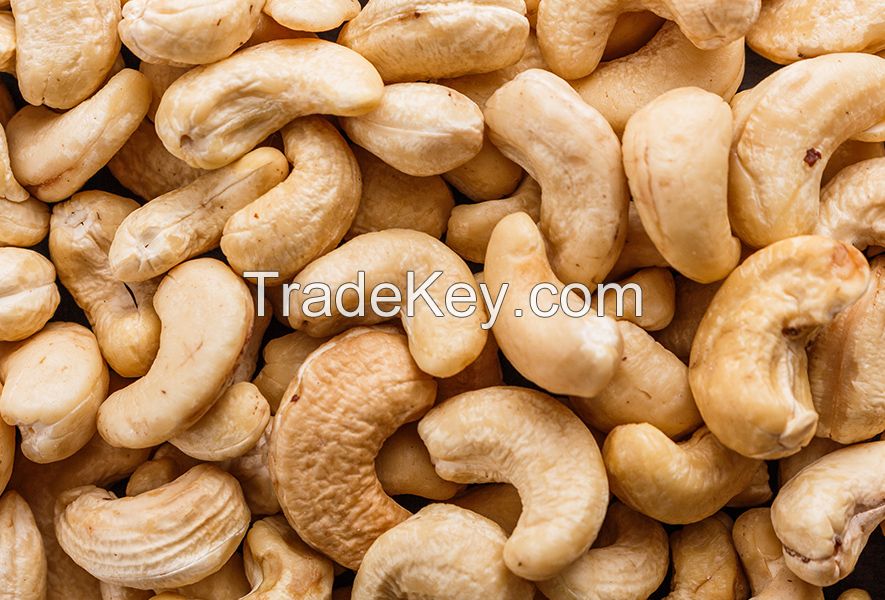 cashew Nuts