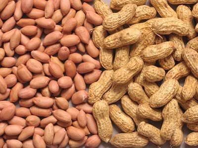 Groundnuts