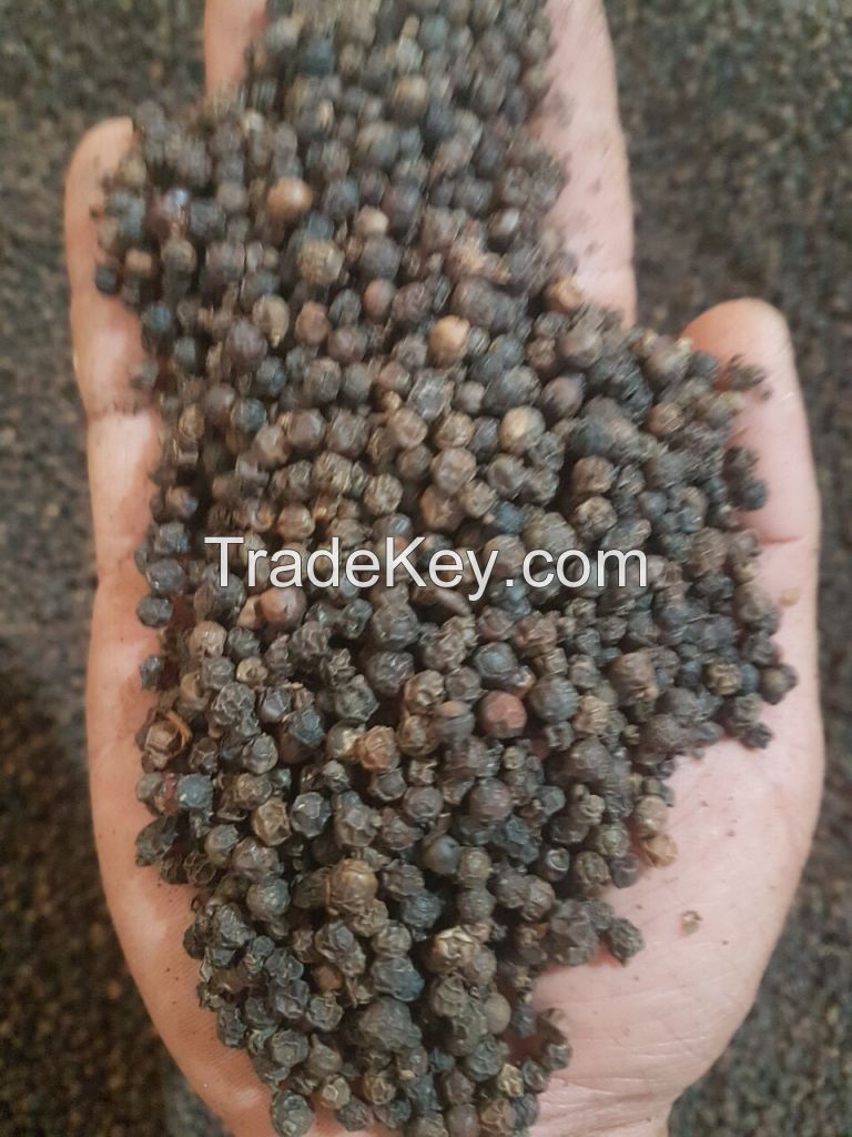 Black peper FAQ/CLEANED 500-550