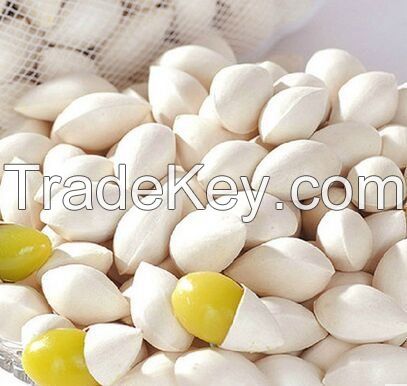 ginkgo nuts for sale
