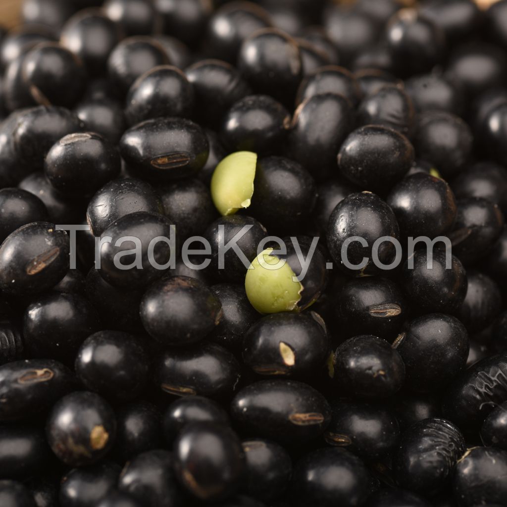 wholesale large number High Quality Organic Black Kidney Beans