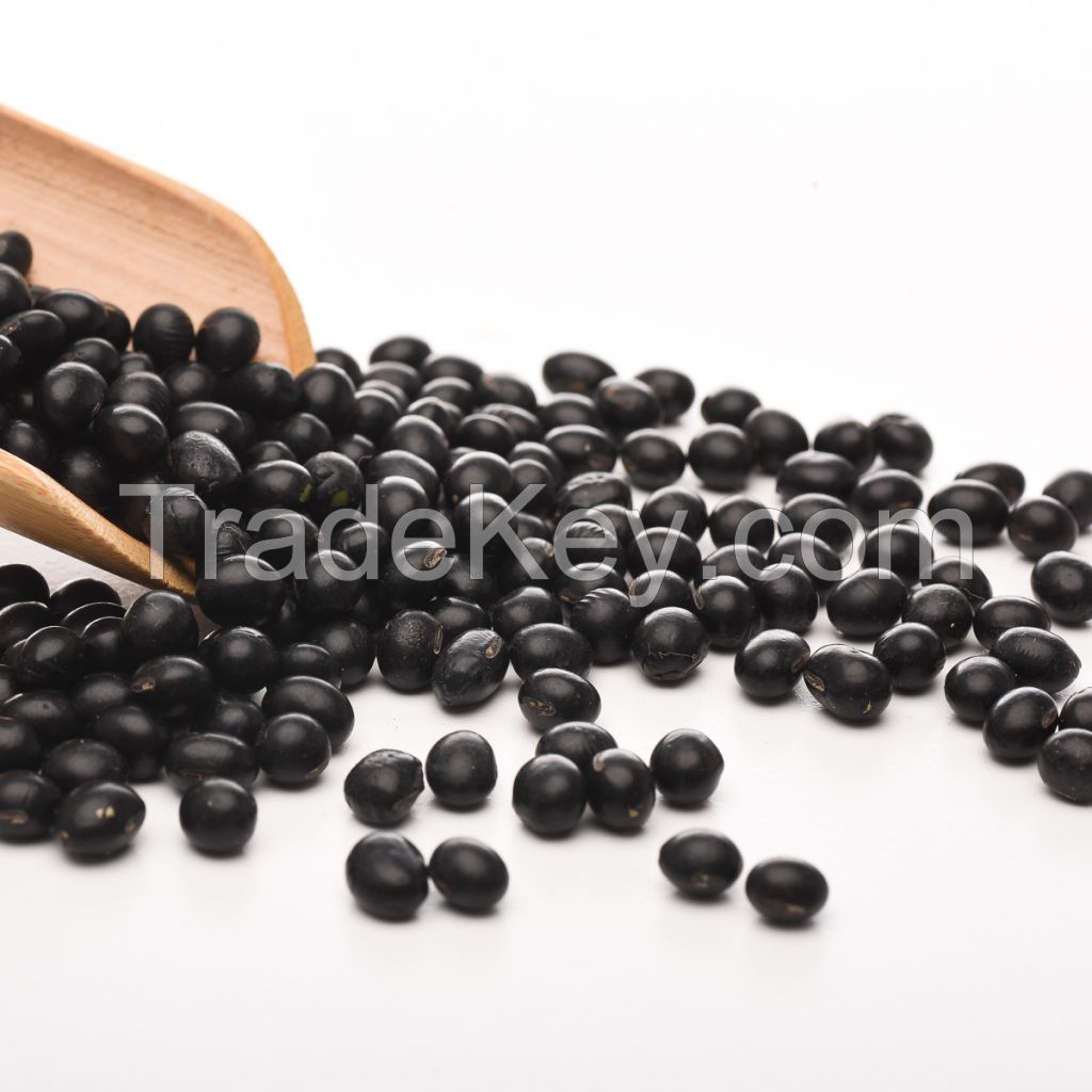 wholesale large number High Quality Organic Black Kidney Beans