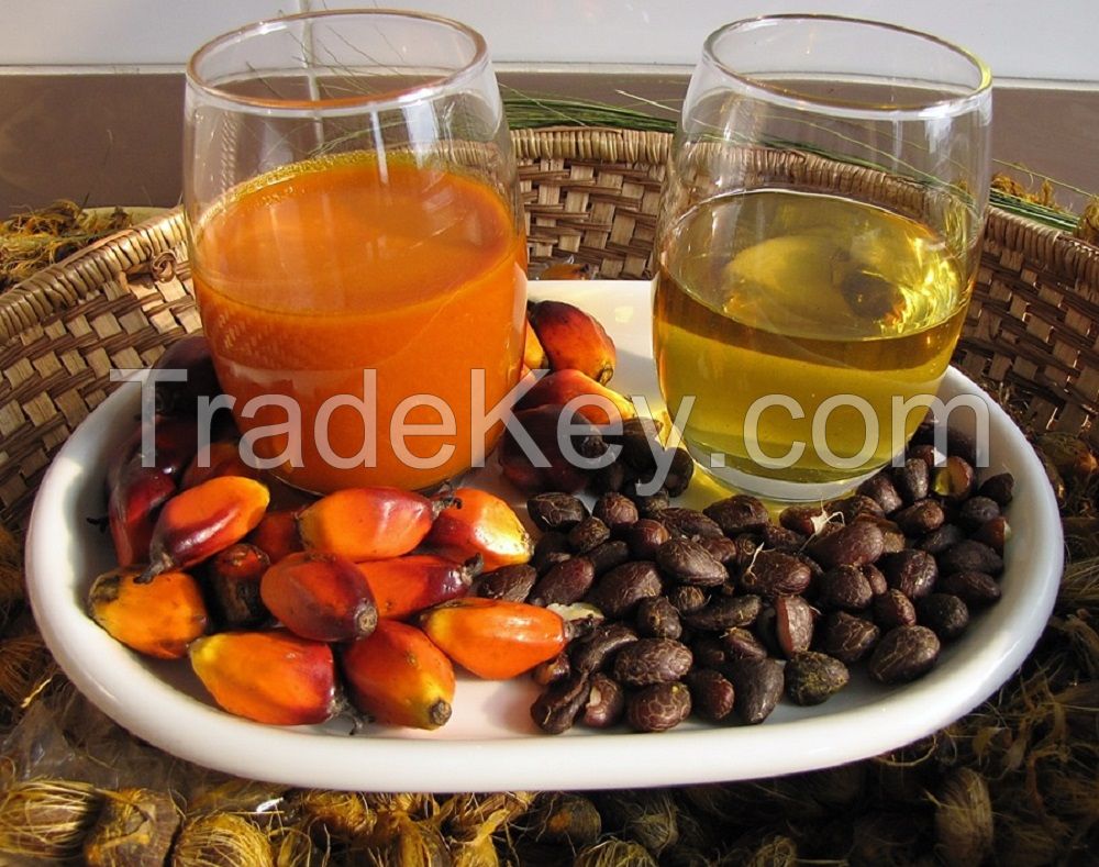 Palm oil Cooking oil exporters, Cheap refined bleached deodorized palm oil RBD CP8, CP10 Palm Kernel Oil