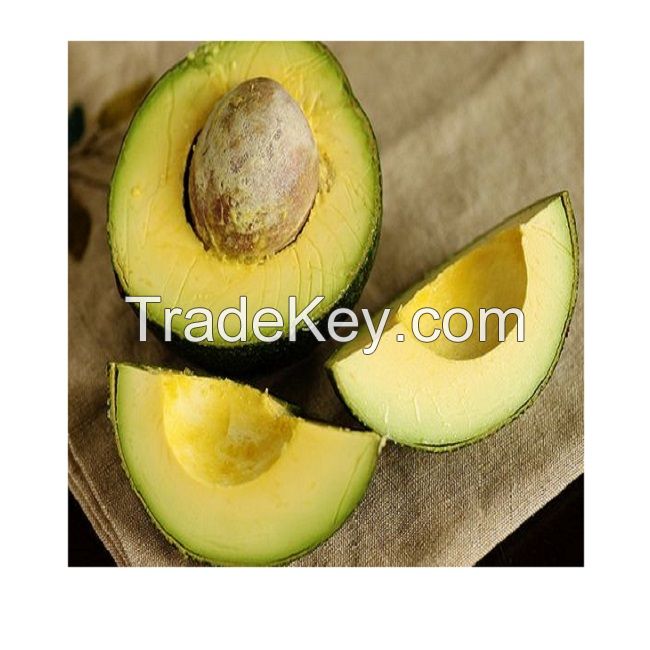 Fresh Avocado / Hass Avocado, Fuerte Avocado / South Africa