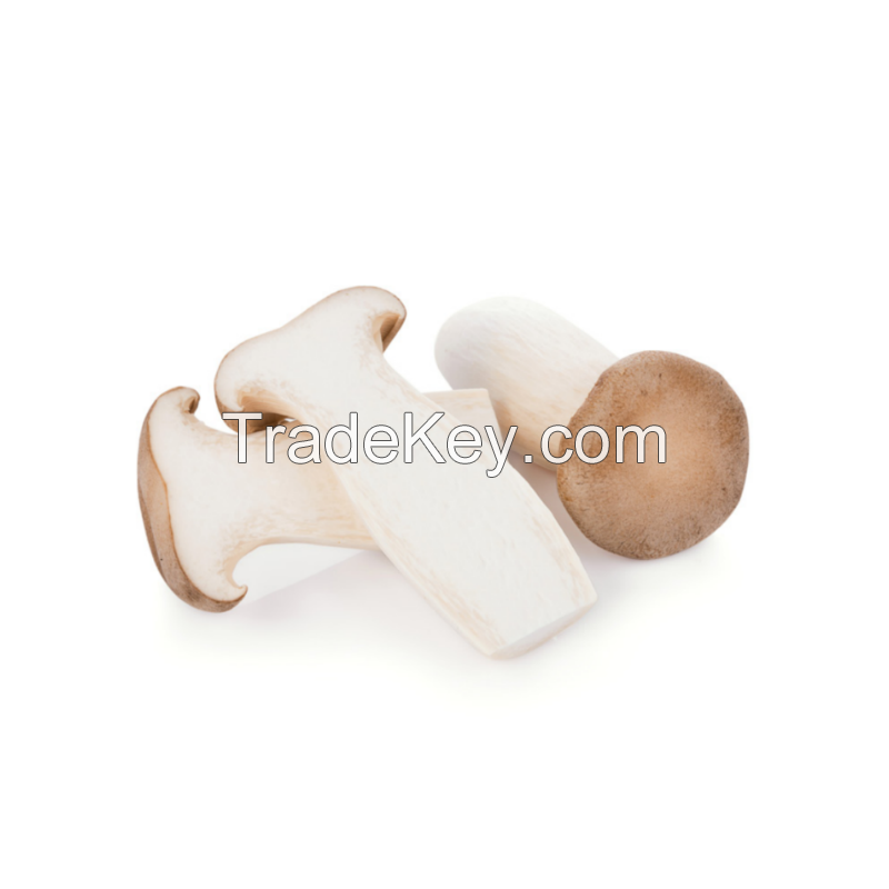 Fresh King Oyster Mushrooms with the Freshest and Most Nutritious Mushrooms