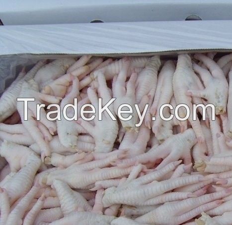 Halal Certified Frozen Chicken Feet | Brazil Chicken Feet