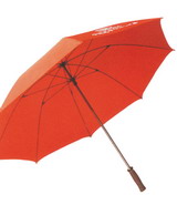 Straight Umbrella 2