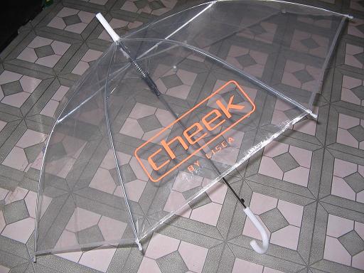 PVC Transparent Umbrella