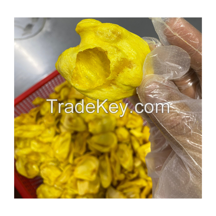 High Quality The Best Price Dried Jackfruit from Viet Nam
