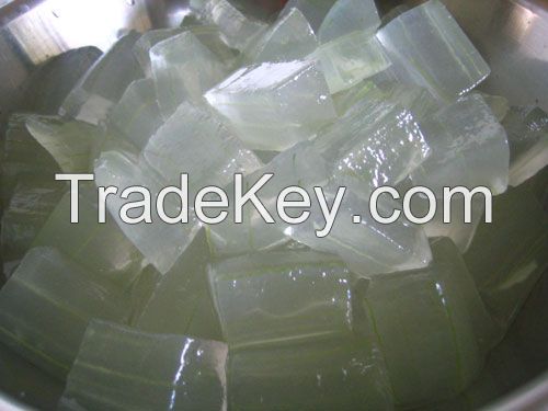 High Quality Aloe Vera Dice from Viet Nam with Whatsapp: +84369952775