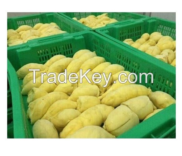 Frozen Durian with High Quality
