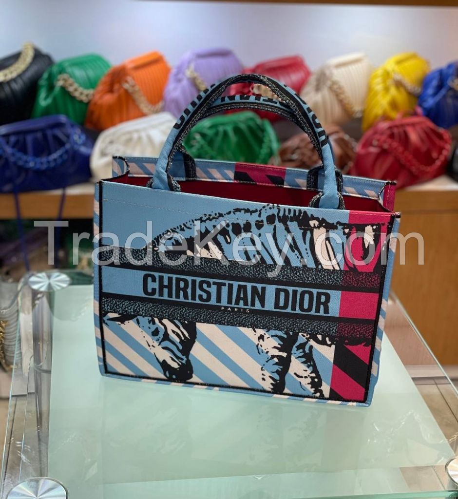 Women Bags Fendi-Christian Dior High Quality For Sellers (Profitable)