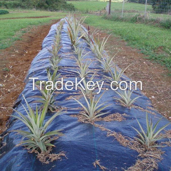 Woven Weed Barrier Fabric Ground Cover