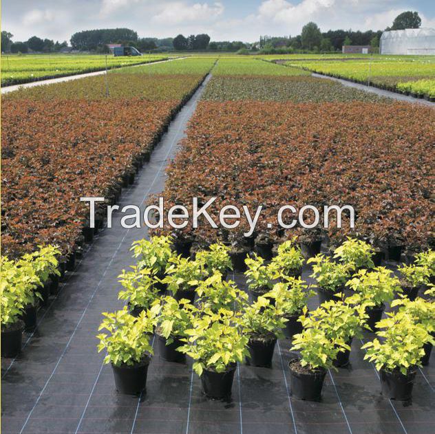 Woven PP Weed Barrier Ground Cover