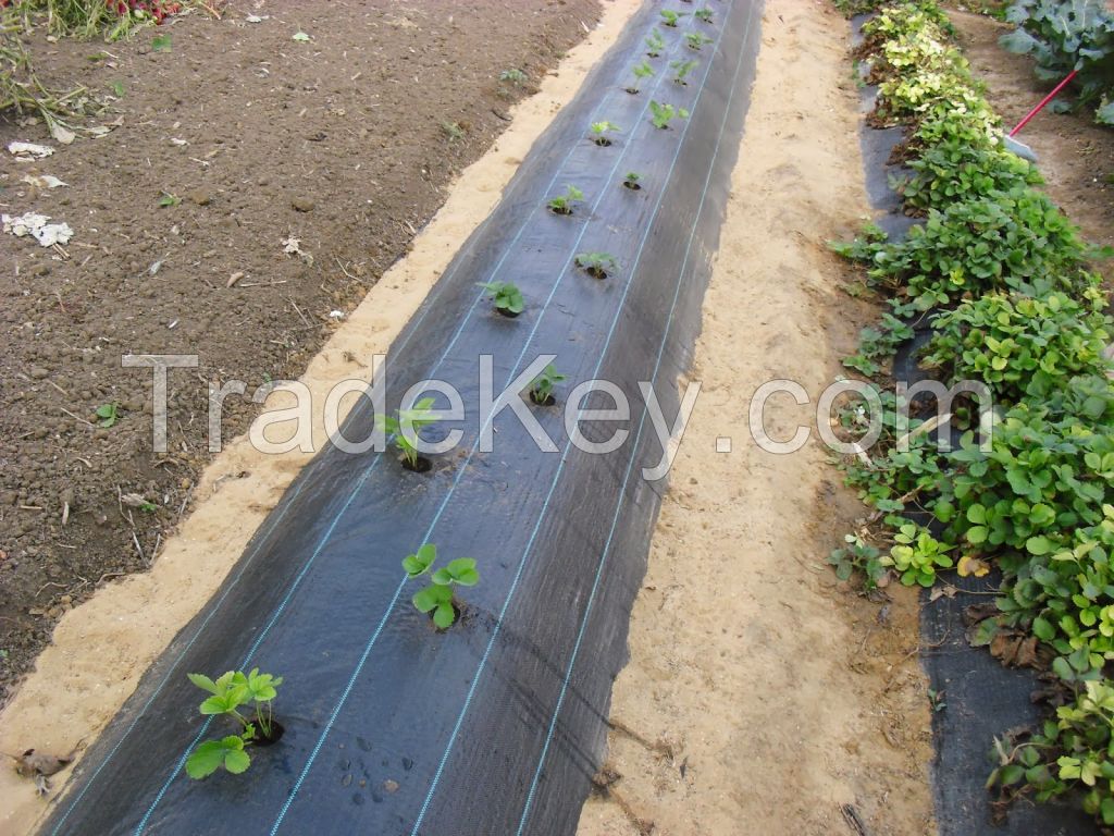 PP Woven Weed Barrier Agriculture