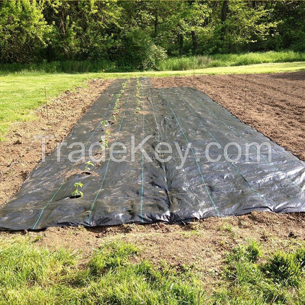 Weed Barrier Landscape Fabric Ground Cover