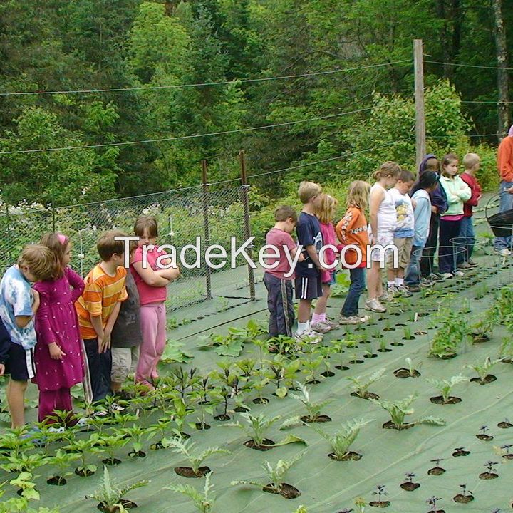 Anti Weed Mat Agriculture Weed Barrier