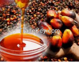 Palm oil