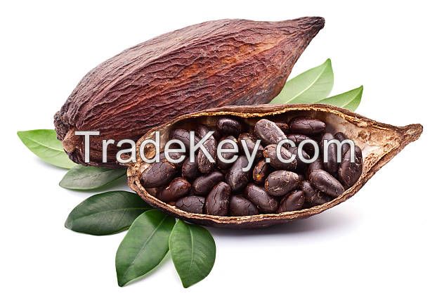 Cacoa beans