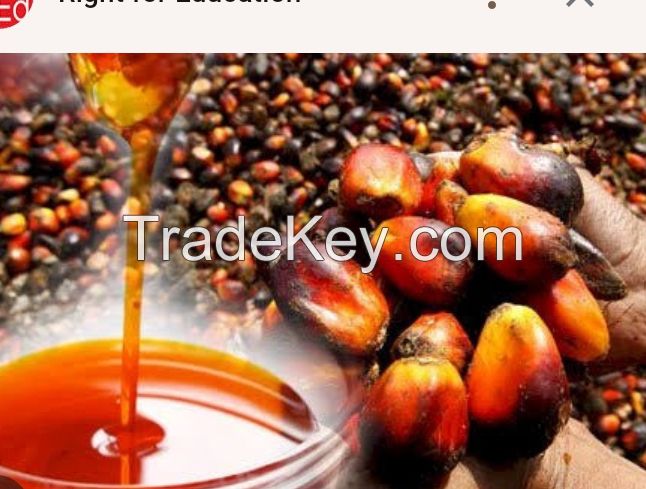 Palm oil